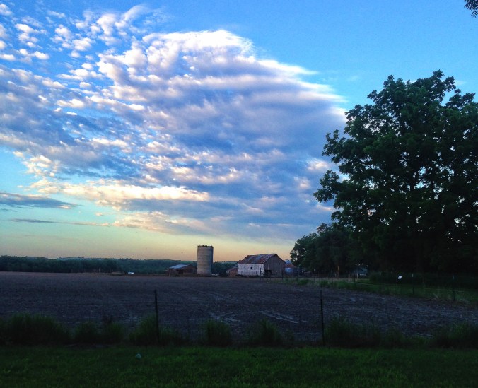 farm sunset